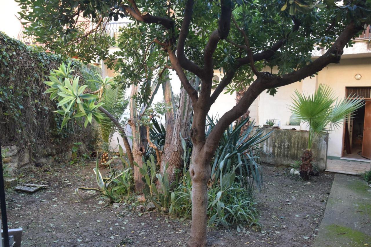 ArtRoom Garden Noto Exterior foto