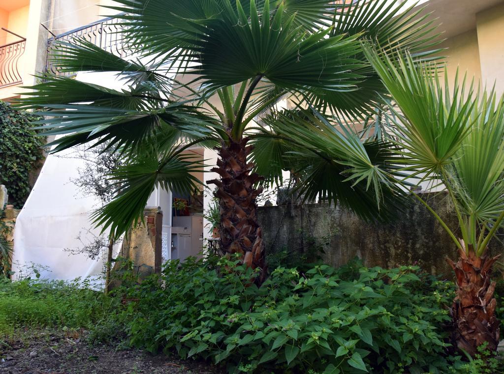 ArtRoom Garden Noto Exterior foto
